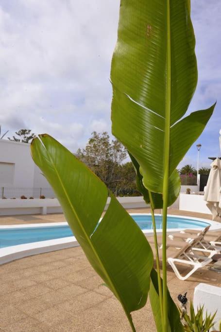 Apartamento Lapa Tías Exteriér fotografie